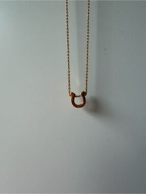 Tiny tags gold horseshoe extendable necklace